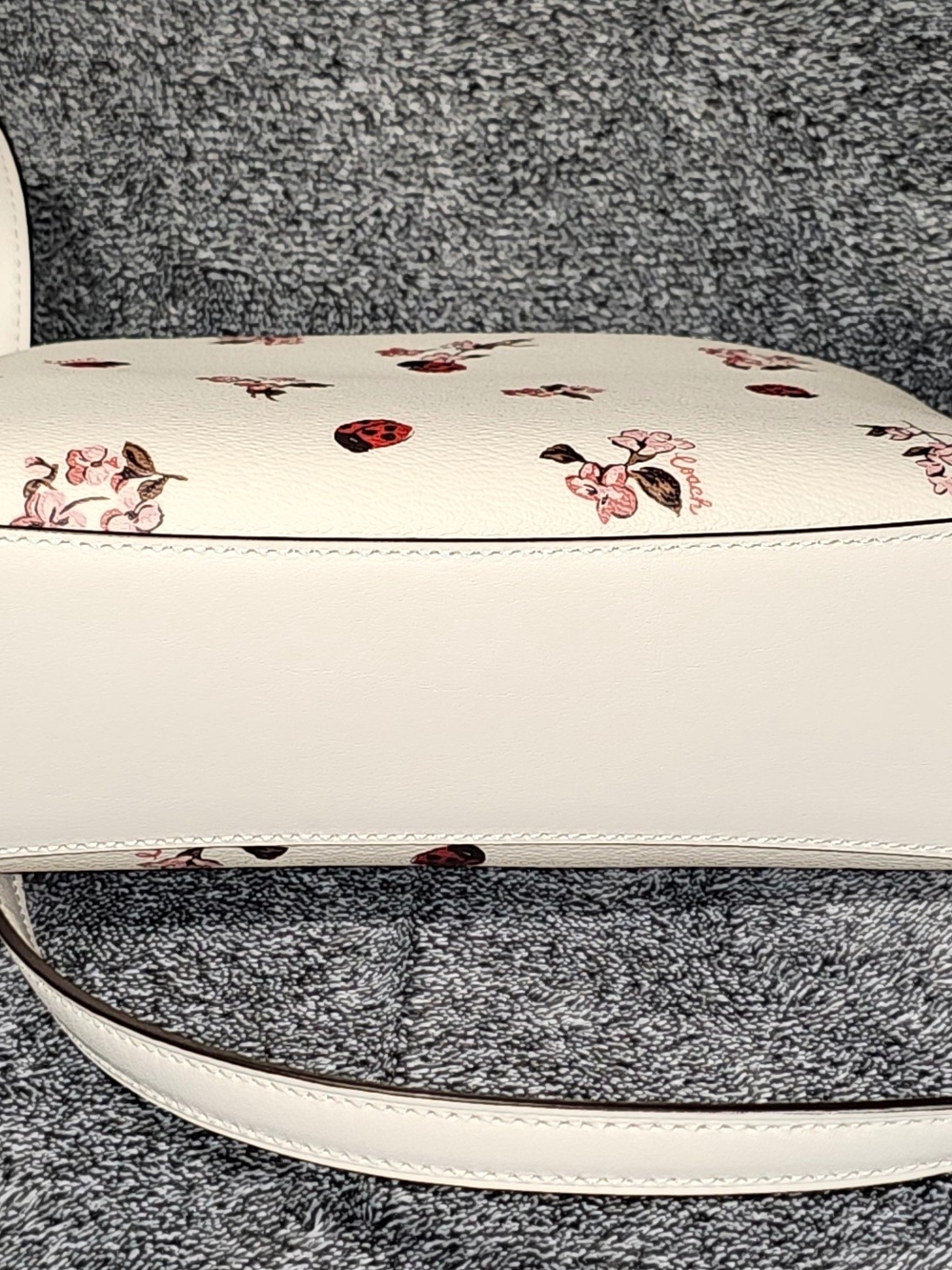 Coach White Floral & Ladybug Crossbody Bag - Picture 8 of 15